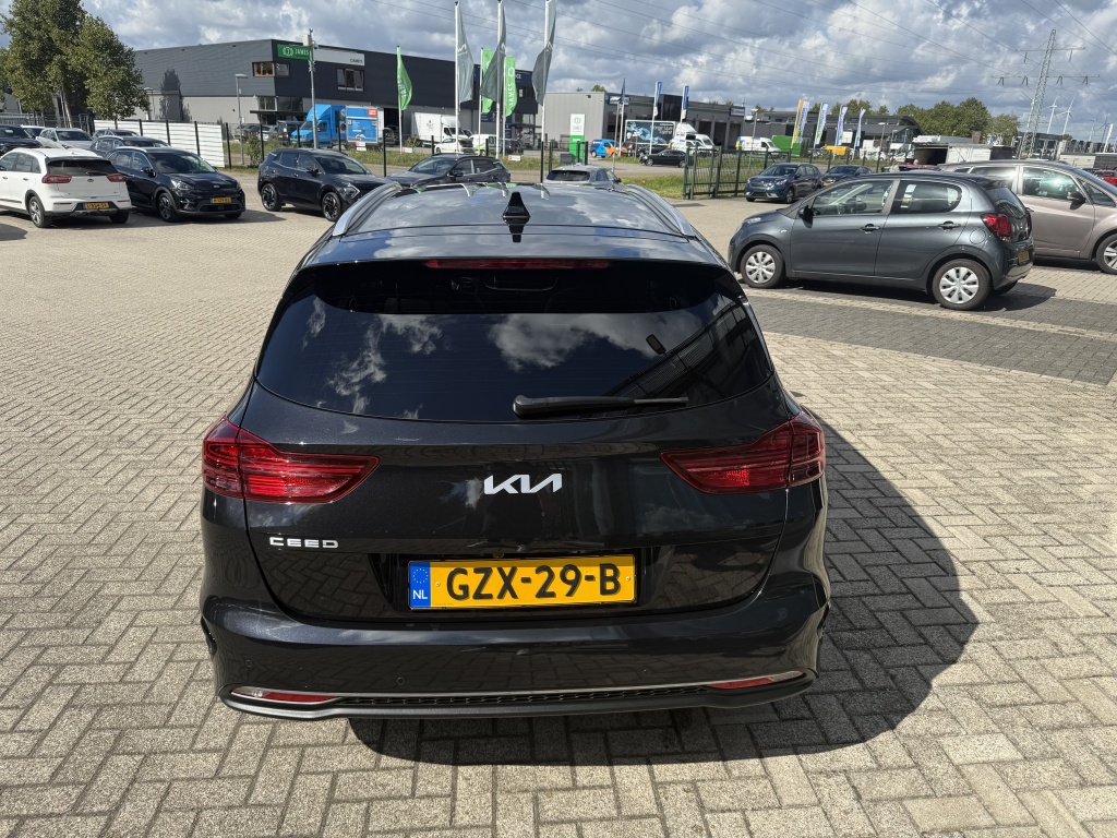 50017597-5.jpg